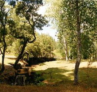 Oldina Picnic Area - St Kilda Accommodation