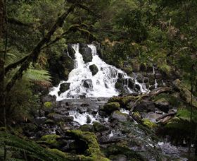 Hellyer Gorge - St Kilda Accommodation 2