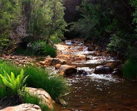Hellyer Gorge - St Kilda Accommodation 1