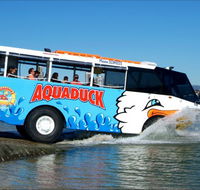 Aquaduck Safaris - St Kilda Accommodation