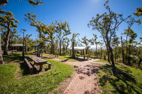 Rockhampton To Carnarvon Gorge Four Night Drive - St Kilda Accommodation 2