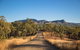 Rockhampton To Carnarvon Gorge Four Night Drive - thumb 8