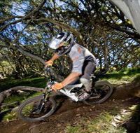All Terrain Cycles - St Kilda Accommodation