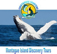 Lighthouse Charters Narooma - St Kilda Accommodation