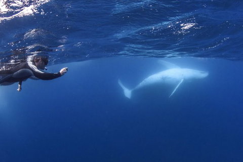 Sunreef Mooloolaba - St Kilda Accommodation 1