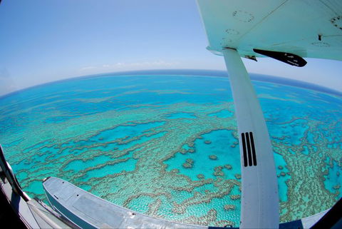 Air Whitsunday Seaplanes - St Kilda Accommodation 1