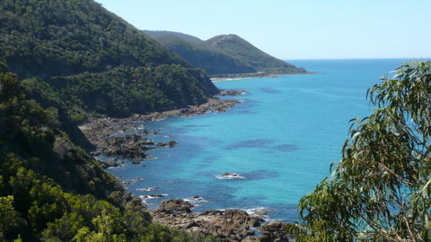 Australian Natural Treasures Touring - St Kilda Accommodation 6