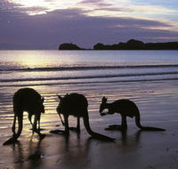 Beachcomber Cove Track - St Kilda Accommodation