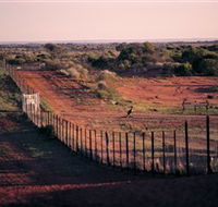 Tri State Safaris - St Kilda Accommodation