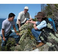 Sapphire Coast Ecotours - St Kilda Accommodation