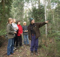 Great Western Tiers Forest Walks Tasmania - St Kilda Accommodation