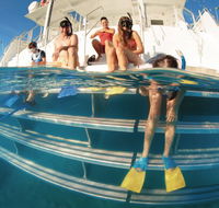 Australian Sunset Safaris - St Kilda Accommodation