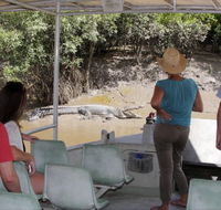 Whitsunday Crocodile Safari - St Kilda Accommodation