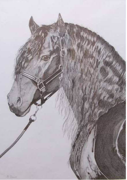 Great Lakes Art Society - St Kilda Accommodation 0