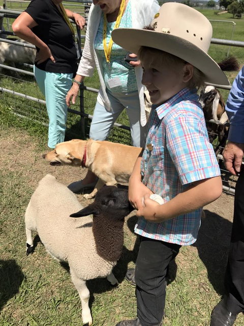 Yamba Tours And Charters - St Kilda Accommodation 2