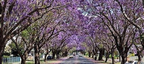 Yamba Tours And Charters - St Kilda Accommodation 6