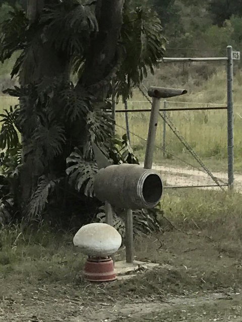 Yamba Tours And Charters - St Kilda Accommodation 7