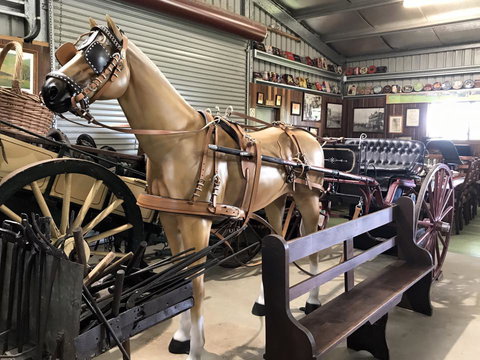 Yamba Tours And Charters - St Kilda Accommodation 9