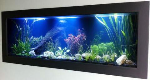 Aquariums In Cairns - St Kilda Accommodation 0