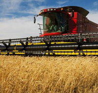 Quirindi Grain and produce - St Kilda Accommodation