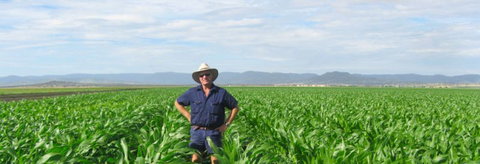 Quirindi Grain And Produce - St Kilda Accommodation 1