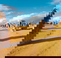 Pinnacles Desert Koalas and Sandboarding 4WD Day Tour from Perth - St Kilda Accommodation