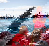 Rottnest Island Tour from Perth or Fremantle including Adventure Speed Boat Ride - St Kilda Accommodation