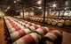 Cape Mentelle Behind The Scenes Tour - thumb 6