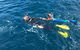 Deluxe WhaleShark Swim Tour On The Ningaloo Reef From Exmouth - thumb 5