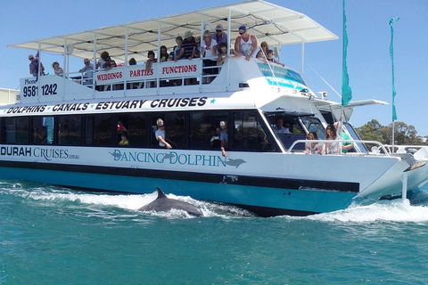 Mandurah Dolphin And Scenic Marine Cruise - St Kilda Accommodation 1