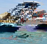 Mandurah Dolphin and Scenic Marine Cruise - St Kilda Accommodation