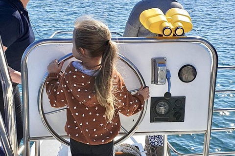 Mandurah Dolphin And Scenic Marine Cruise - St Kilda Accommodation 10