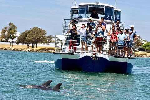 Mandurah Dolphin And Scenic Marine Cruise - St Kilda Accommodation 2