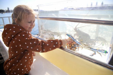 Mandurah Dolphin And Scenic Marine Cruise - St Kilda Accommodation 5