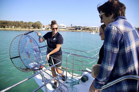Mandurah Dolphin And Scenic Marine Cruise - St Kilda Accommodation 16