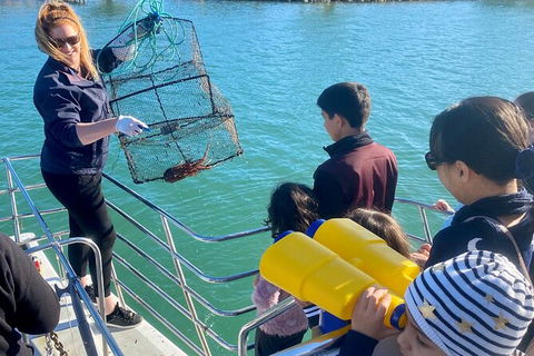 Mandurah Dolphin And Scenic Marine Cruise - St Kilda Accommodation 18