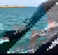 Mandurah Dolphin Island Adventure - St Kilda Accommodation