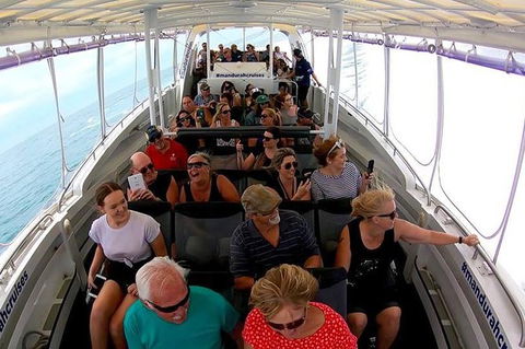 Mandurah Dolphin Island Adventure - St Kilda Accommodation 1