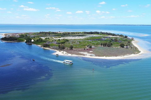 Mandurah Dolphin Island Adventure - St Kilda Accommodation 8