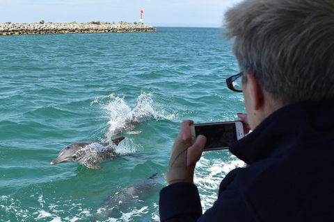Mandurah Dolphin Island Adventure - St Kilda Accommodation 2