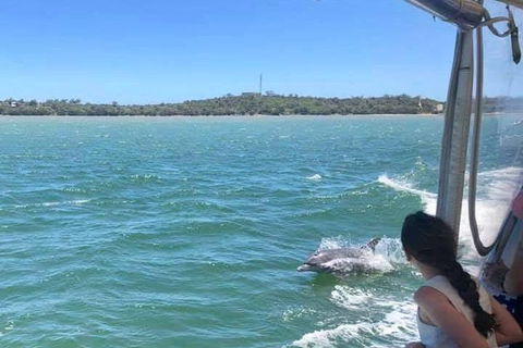 Mandurah Dolphin Island Adventure - St Kilda Accommodation 9