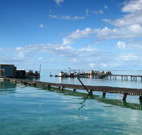 Full Day Guided Abrolhos Fly and Flipper Tour from Geraldton - St Kilda Accommodation