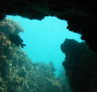 Half-Day Abrolhos Islands Shipwreck Air and Land Tour from Geraldton - St Kilda Accommodation