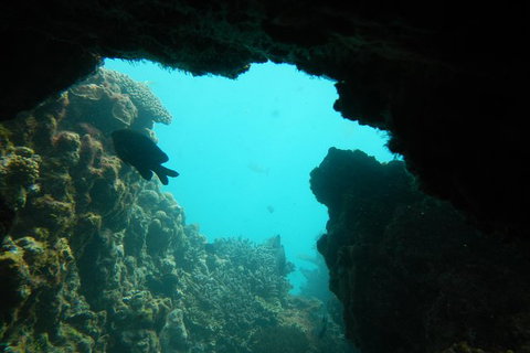 Half-Day Abrolhos Islands Shipwreck Air And Land Tour From Geraldton - St Kilda Accommodation 0