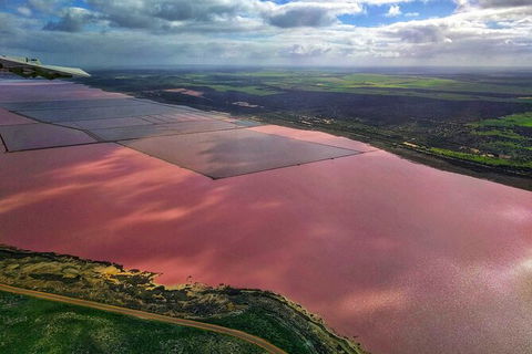 Kalbarri, Pink Lake And Abrolhos Islands Nature Tour - St Kilda Accommodation 3
