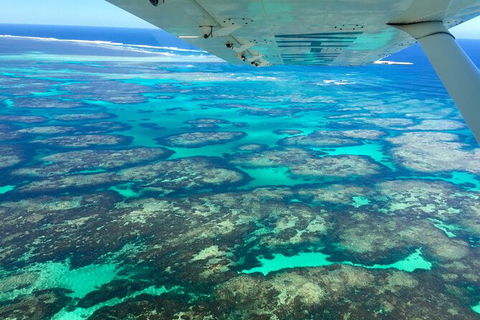 Kalbarri, Pink Lake And Abrolhos Islands Nature Tour - St Kilda Accommodation 5