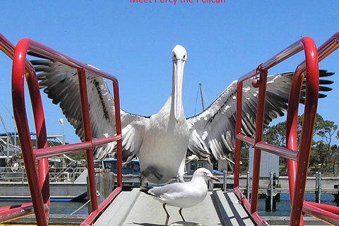 Albany Wildlife And Scenic Cruise - St Kilda Accommodation 2