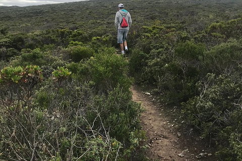 Cape To Cape Track Hike And Winery Tour - St Kilda Accommodation 10