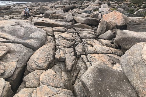 Cape To Cape Track Hike And Winery Tour - St Kilda Accommodation 8