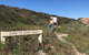 Cape To Cape Track Hike And Winery Tour - thumb 4